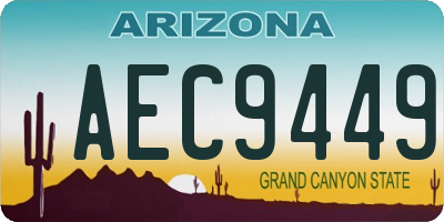 AZ license plate AEC9449