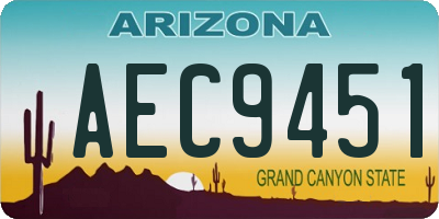 AZ license plate AEC9451