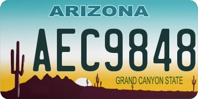 AZ license plate AEC9848