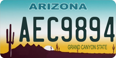 AZ license plate AEC9894