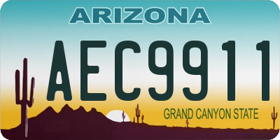 AZ license plate AEC9911
