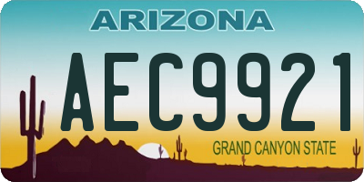 AZ license plate AEC9921