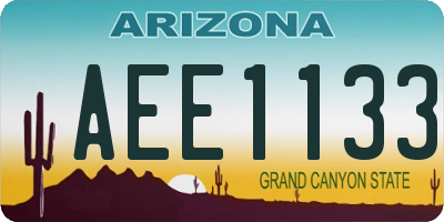 AZ license plate AEE1133