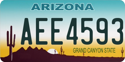 AZ license plate AEE4593