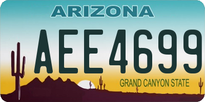 AZ license plate AEE4699