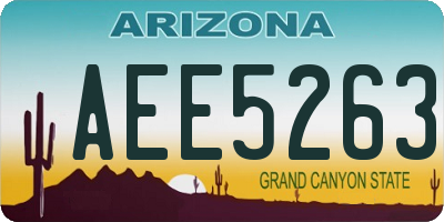 AZ license plate AEE5263