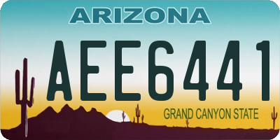 AZ license plate AEE6441