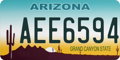 AZ license plate AEE6594