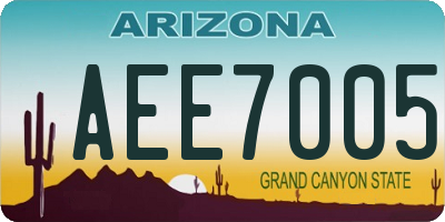 AZ license plate AEE7005
