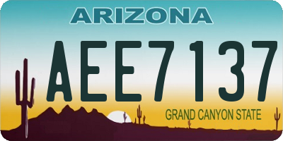 AZ license plate AEE7137