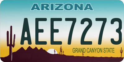 AZ license plate AEE7273