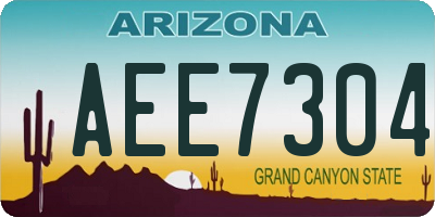 AZ license plate AEE7304