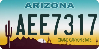 AZ license plate AEE7317