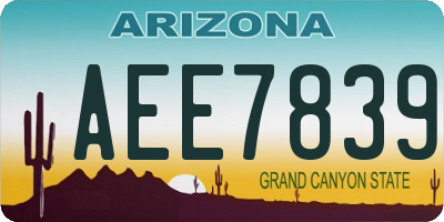 AZ license plate AEE7839