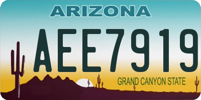 AZ license plate AEE7919