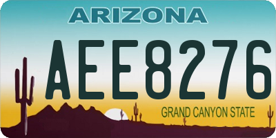 AZ license plate AEE8276