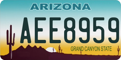 AZ license plate AEE8959