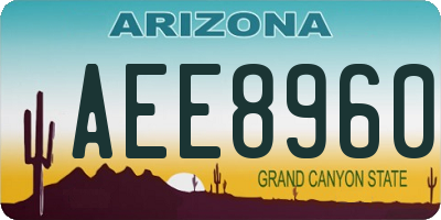AZ license plate AEE8960