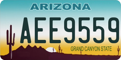 AZ license plate AEE9559