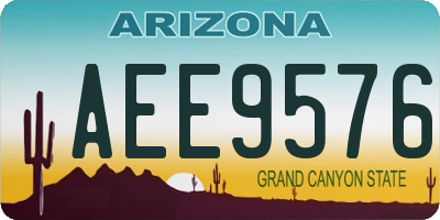 AZ license plate AEE9576