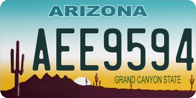 AZ license plate AEE9594