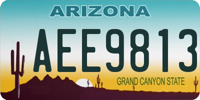 AZ license plate AEE9813