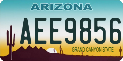 AZ license plate AEE9856