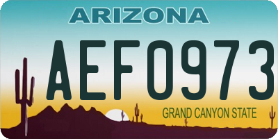AZ license plate AEF0973