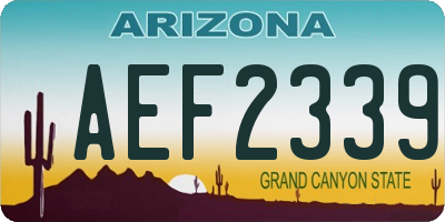 AZ license plate AEF2339