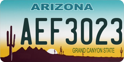 AZ license plate AEF3023