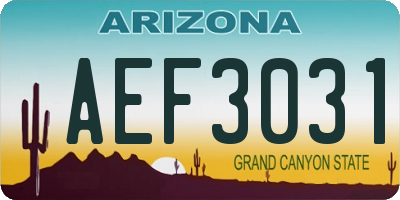 AZ license plate AEF3031