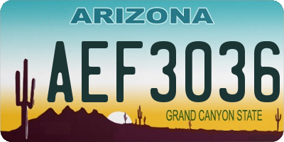 AZ license plate AEF3036