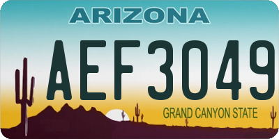 AZ license plate AEF3049