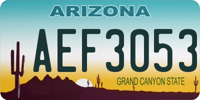 AZ license plate AEF3053