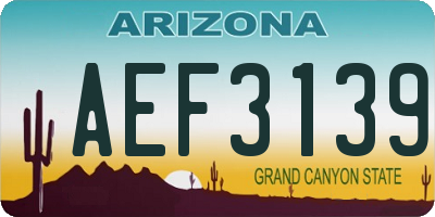 AZ license plate AEF3139