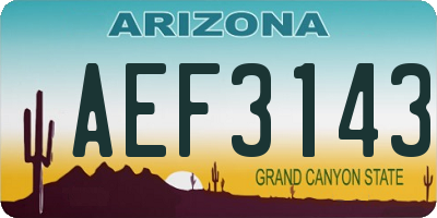 AZ license plate AEF3143