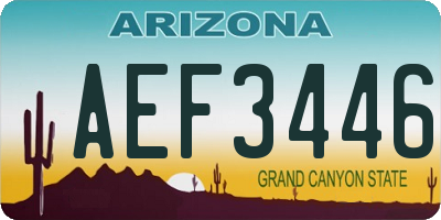 AZ license plate AEF3446
