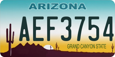AZ license plate AEF3754