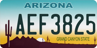 AZ license plate AEF3825