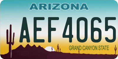 AZ license plate AEF4065