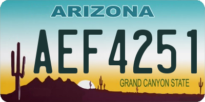 AZ license plate AEF4251