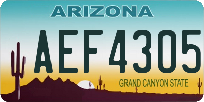 AZ license plate AEF4305