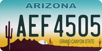 AZ license plate AEF4505