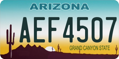 AZ license plate AEF4507