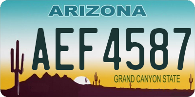 AZ license plate AEF4587