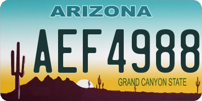 AZ license plate AEF4988