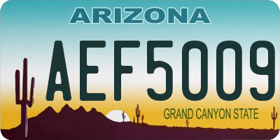 AZ license plate AEF5009