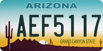 AZ license plate AEF5117