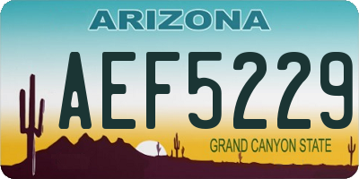 AZ license plate AEF5229