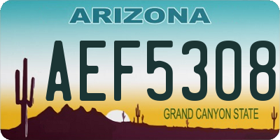 AZ license plate AEF5308